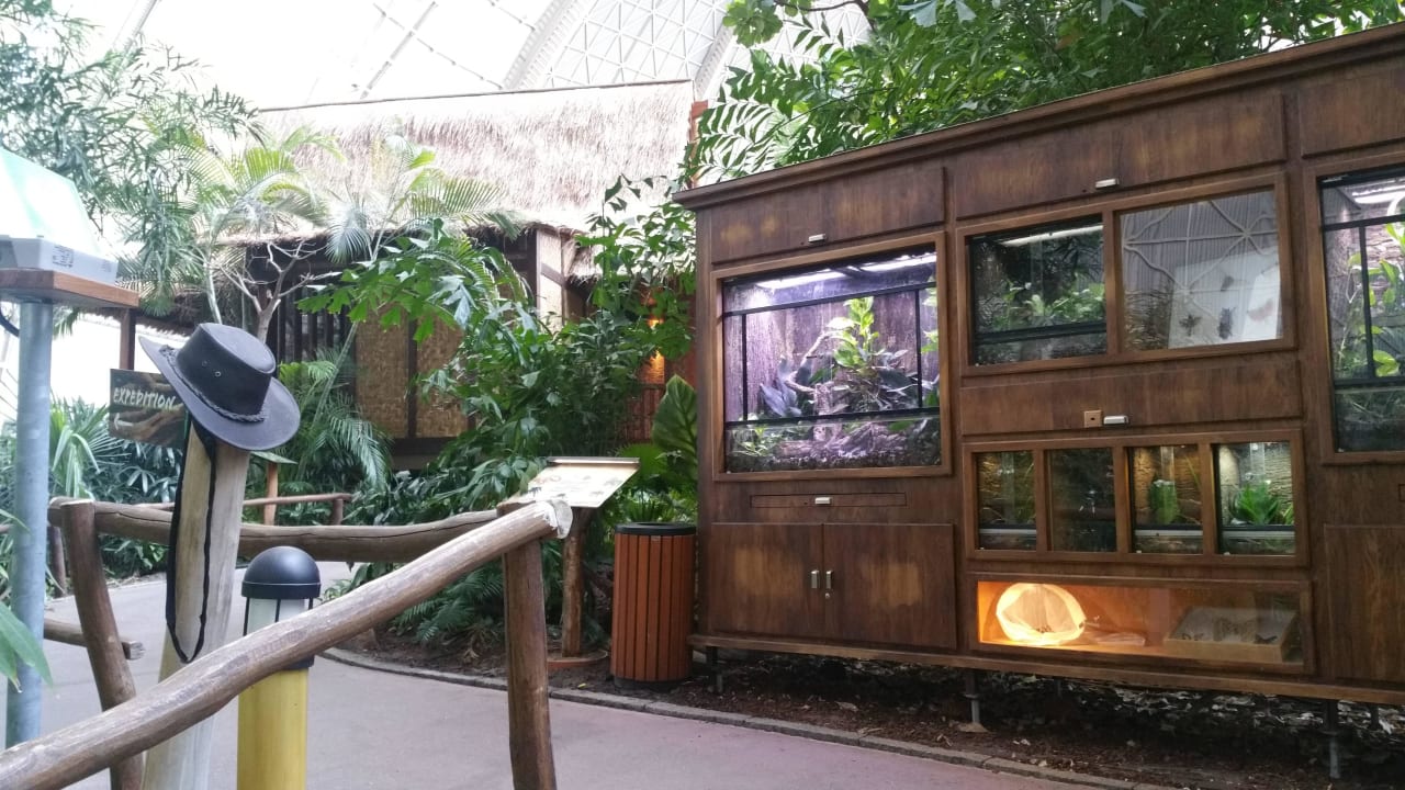 Regenwald Tropical Islands Resort