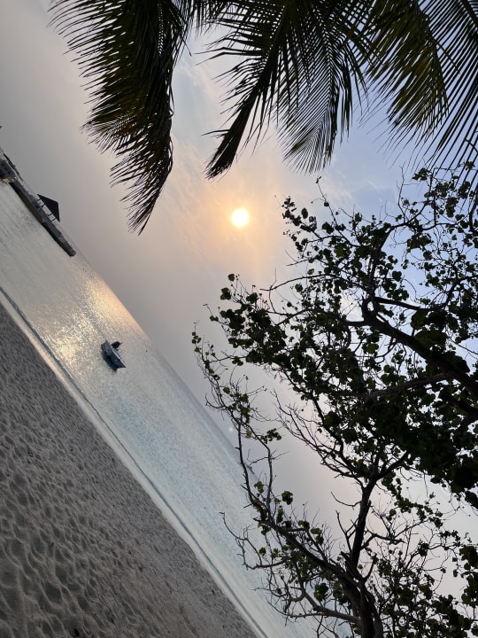 Außenansicht Summer Island Maldives