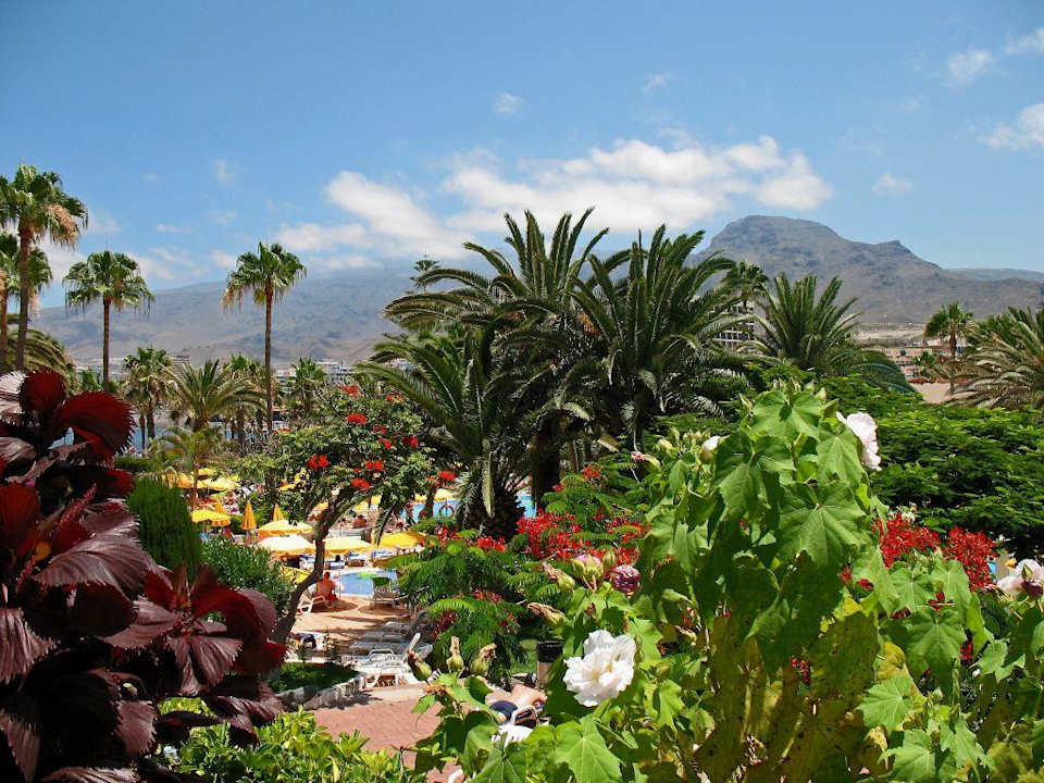 Panorama-Blick H10 Las Palmeras