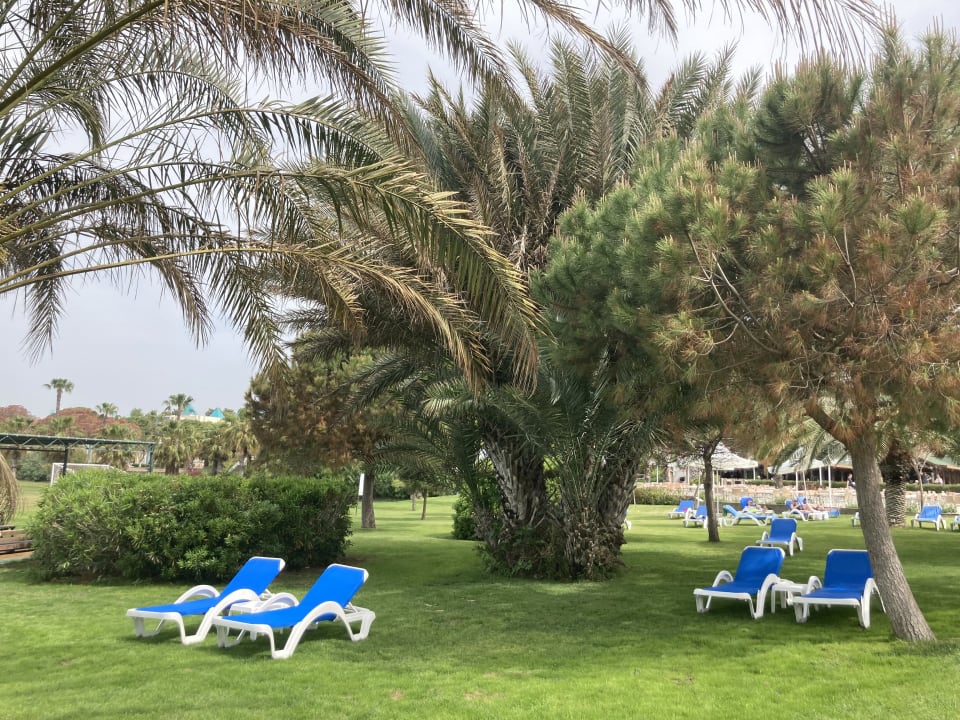 Gartenanlage Turquoise Hotel