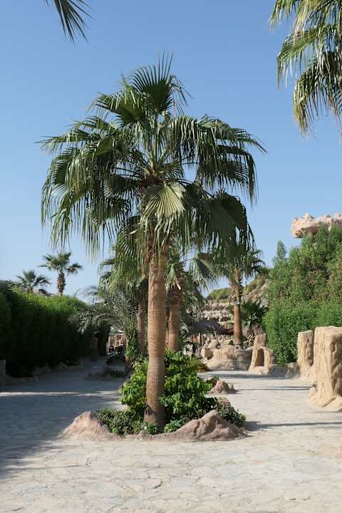 Gartenanlage Hotel Caves Beach Resort (Adults Only)