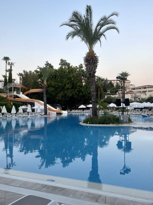 Pool Side Star Elegance