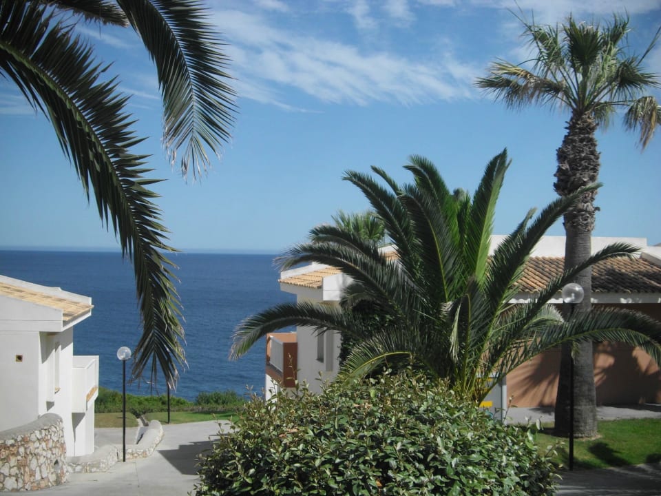 Klippe blau punta reina