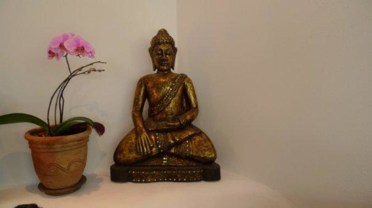 Impressionen Hotel Jardin Tropical