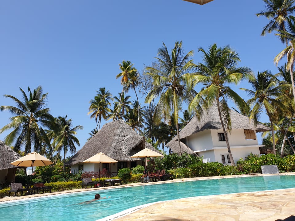 Pool Pongwe Bay Resort