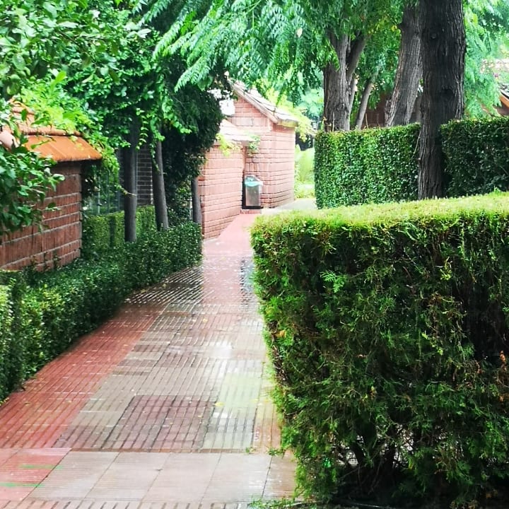 Gartenanlage Can Garden Beach