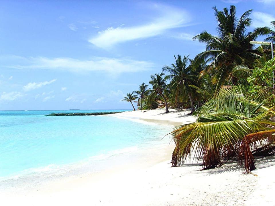 Strand Summer Island Maldives