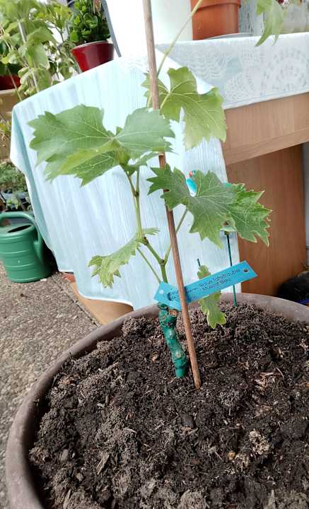 Sonstiges Hotel La Baia