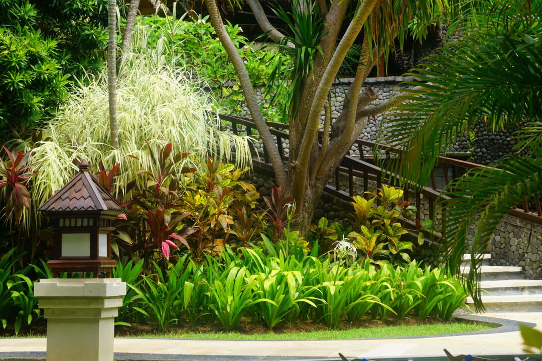 Gartenanlage The Laguna A Luxury Collection Resort & Spa