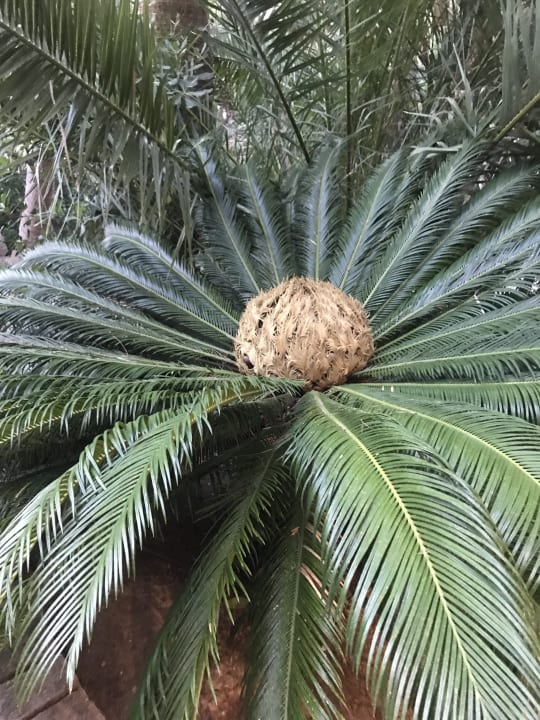 Gartenanlage Lago Garden