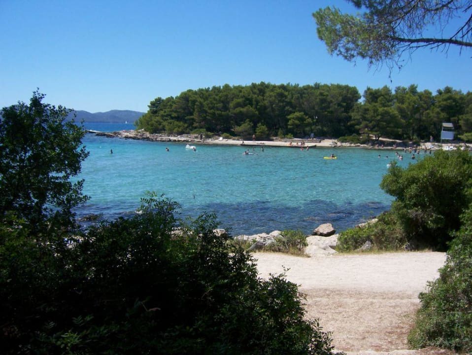 Das Meer Pine Beach Pakostane