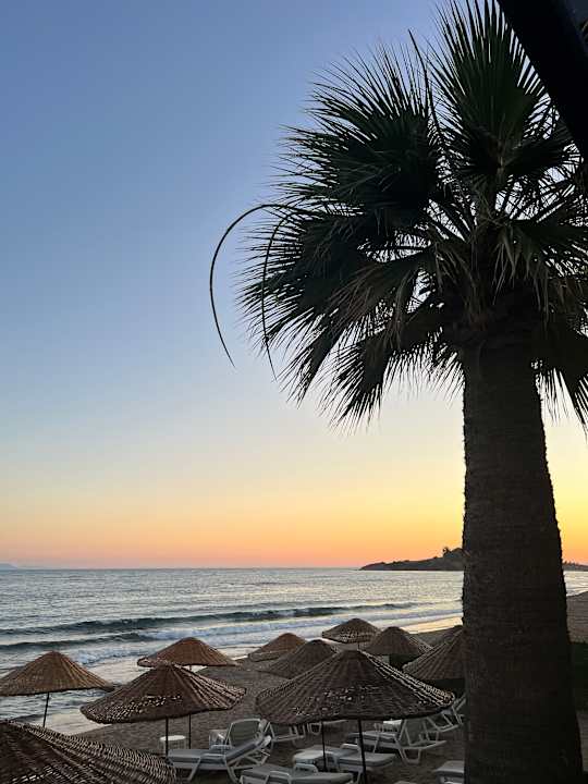 Strand Notion Kesre Beach & Spa