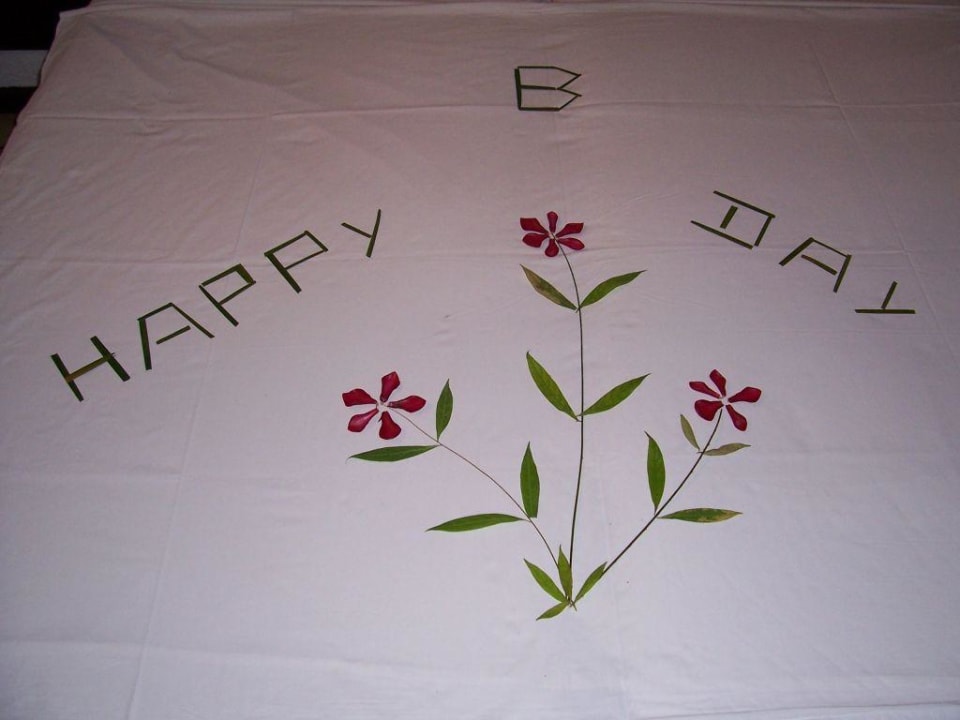 Geburtstags Überraschung  Hotel Jetwing Tropical Villas