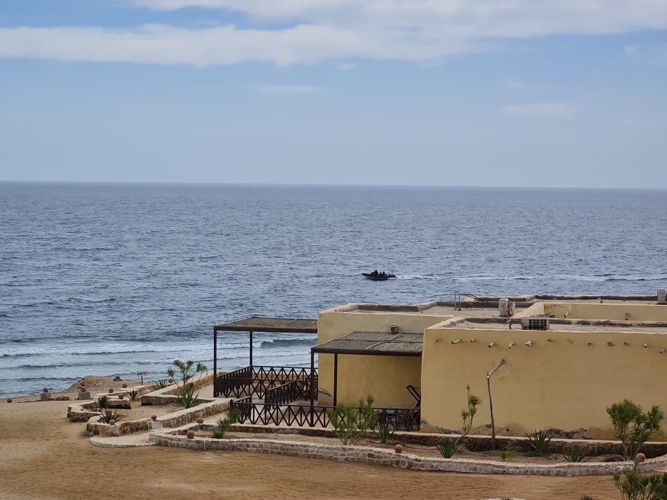 Außenansicht The Oasis Dive Resort