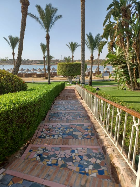 Gartenanlage Steigenberger Coraya Beach - Adults only