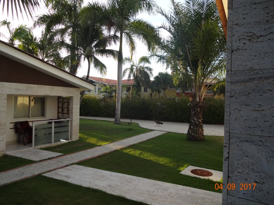 Zimmer Villas Bavaro Resort & Spa