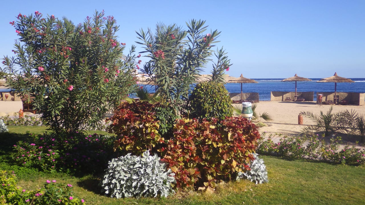 Blick Richtung Strand Coral Sun Beach