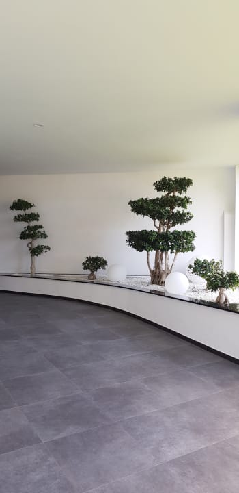 Sonstiges Hotel Riu Palace Oasis