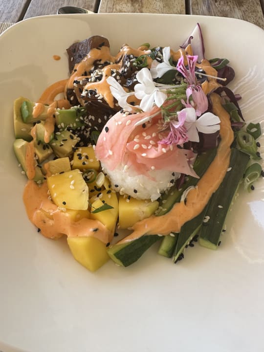 Gastro Sanbona Wildlife Reserve - Gondwana Lodge