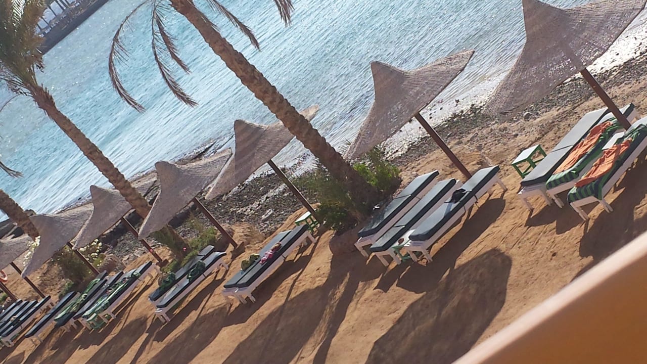 Morgens, halb 8, Hurghada: Zeit zum reservieren! Arabia Azur Resort
