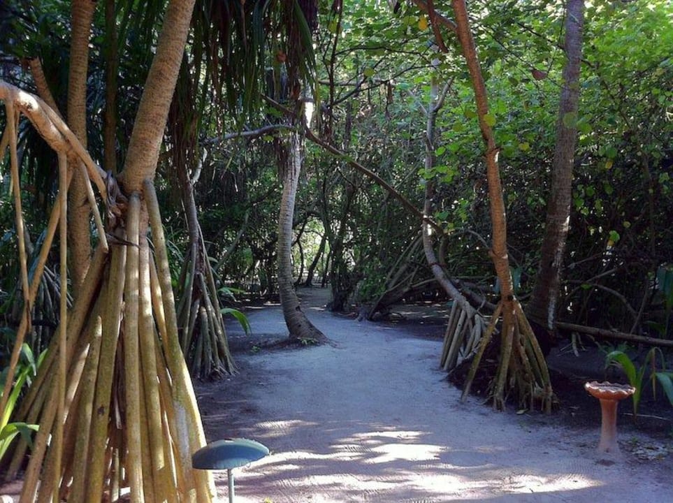 Sandwege Adaaran Select Meedhupparu Island Resort - Premium All Inclusive