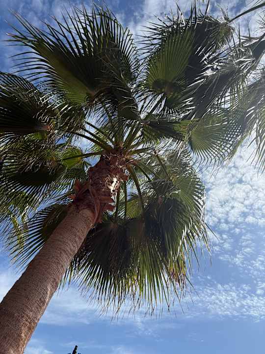 Ausblick Oz Hotels Incekum Beach