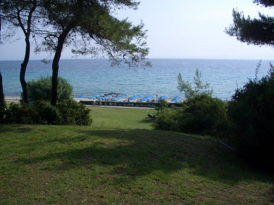 Blick aufs Meer Aegean Melathron Thalasso Spa Hotel