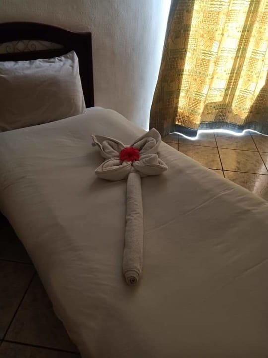 Zimmer Dexon Roma Hotel