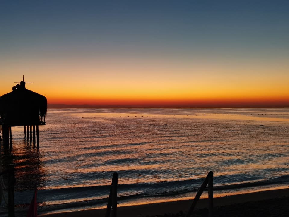 Strand Crystal Flora Pearl Collection