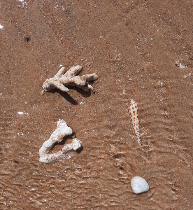 Strand Hotel Sheraton Soma Bay Resort