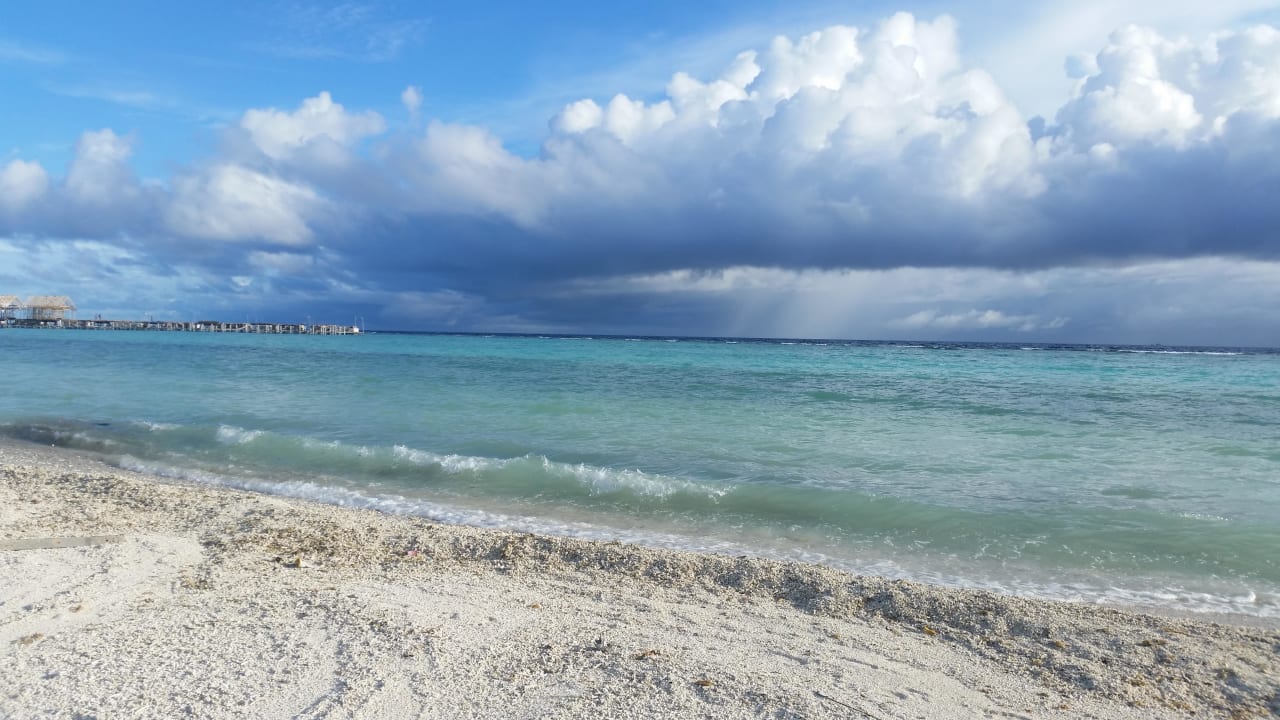 Sandbank  Kuramathi Maldives