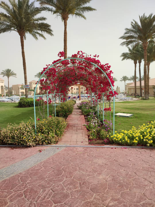 Gartenanlage Cleopatra Luxury Resort Makadi Bay