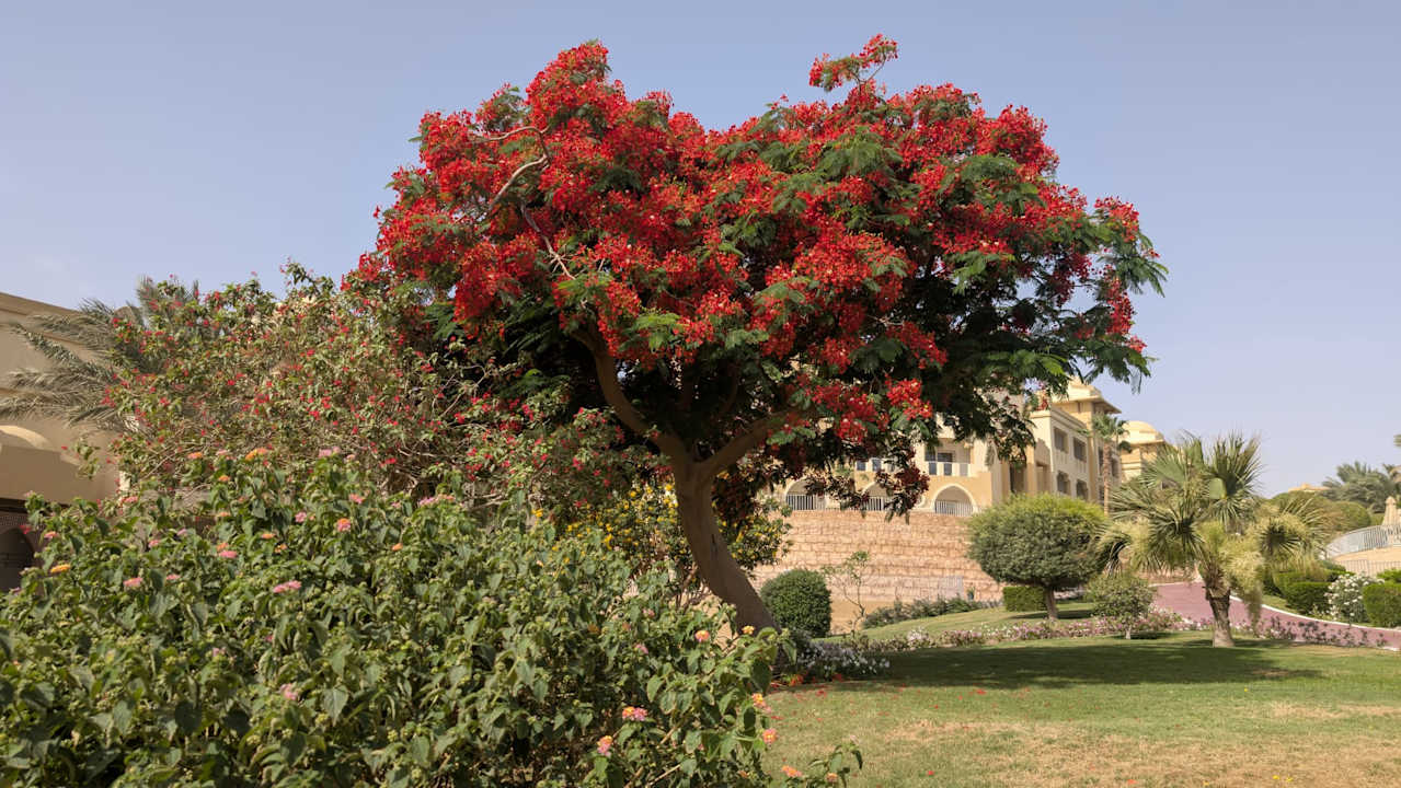 Gartenanlage Serenity Alpha Beach