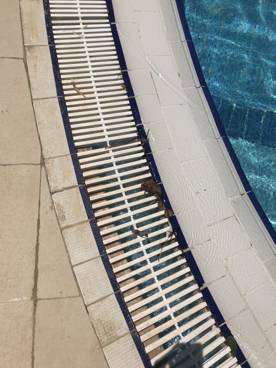 Dreckig und kaputt  Nozha Beach Resort & Spa