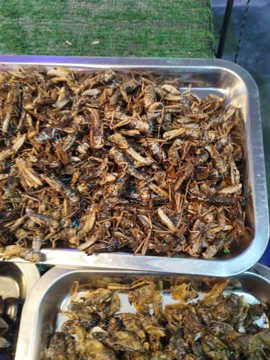 Sport & Freizeit Khaolak Bhandari Resort & Spa