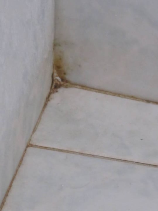Schimmel wächst im Bad fröhlich vor sich hin Saraya Resort