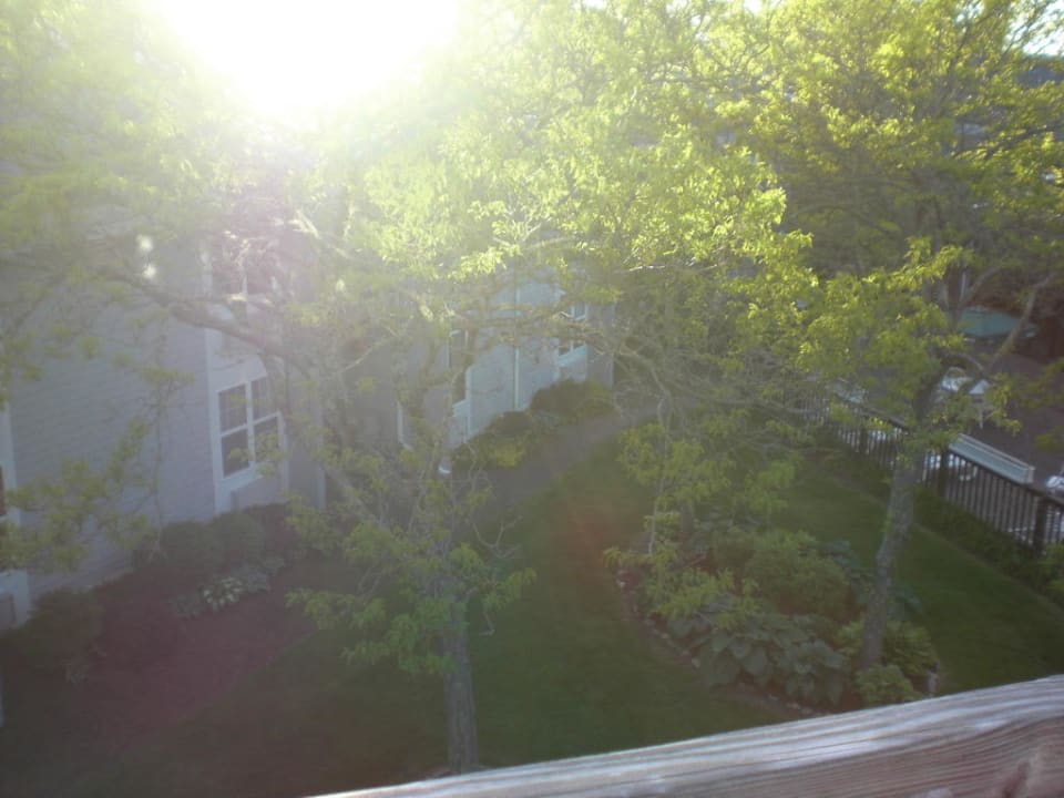 Ausblick auf den Garten! Hotel Holiday Inn Hyannis Cape Cod