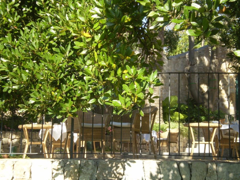 Blick auf die Terrasse Hort de Cas Missèr