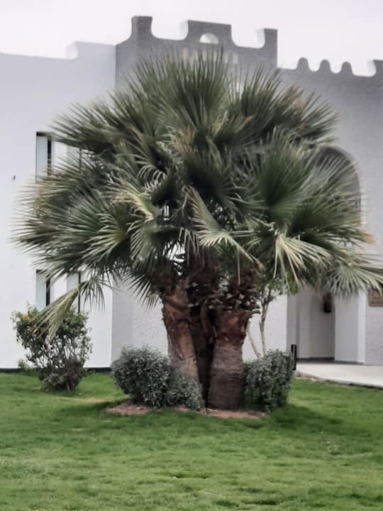 Gartenanlage Sunrise Tucana Resort - Grand Select