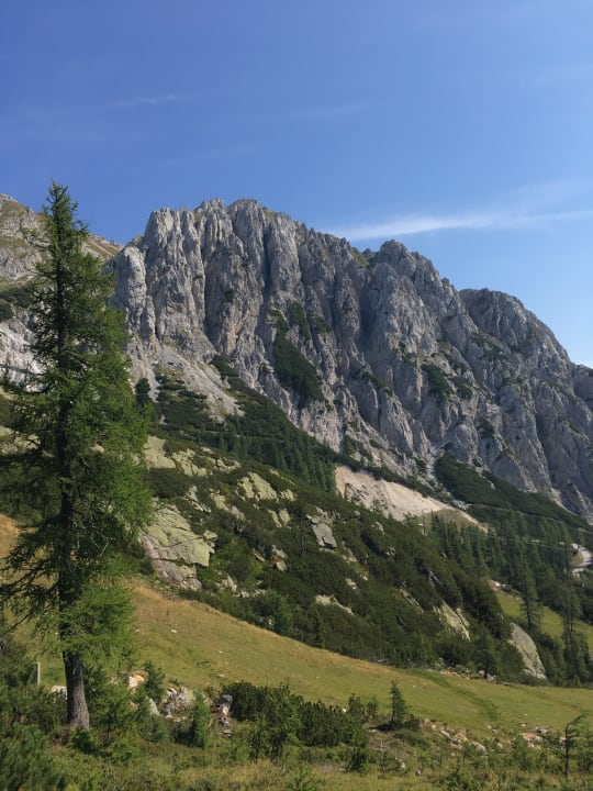 Ausblick Almhotel Kärnten