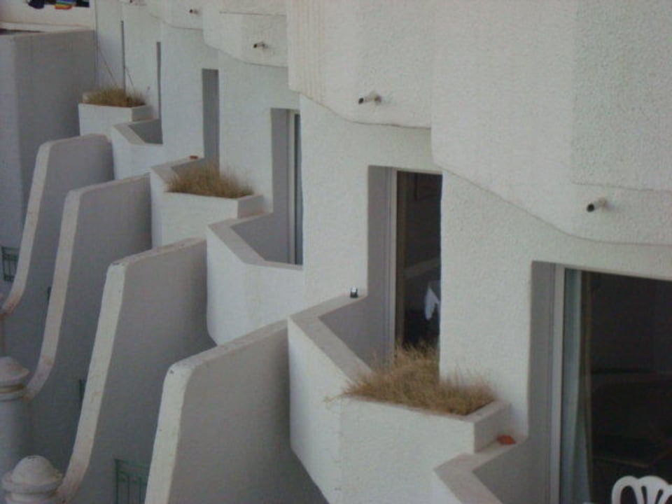 Die freundlich gestalteten Nachbarbalkone Hotel El Mouradi Skanes Beach