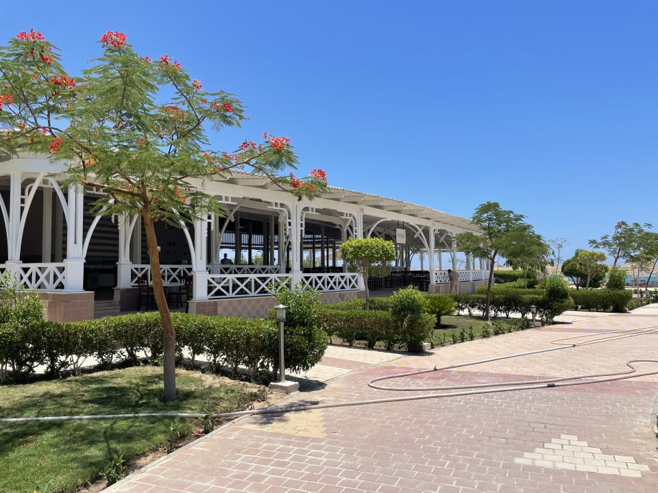 Gartenanlage Jaz Soma Beach