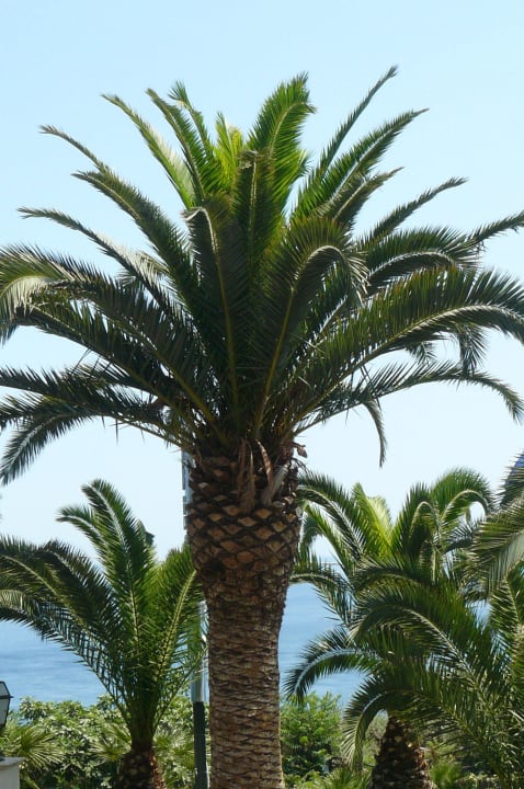 Begrünung Capo dei Greci Taormina Coast Resort Hotel & Spa