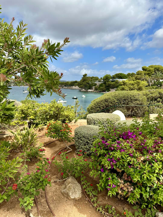 Gartenanlage Hipotels Eurotel Punta Rotja Golf & Spa