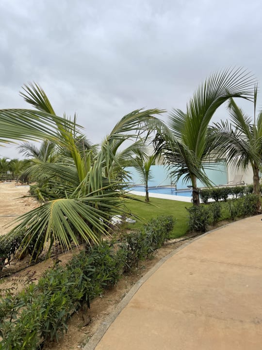 Gartenanlage Hotel Riu Palace Boavista