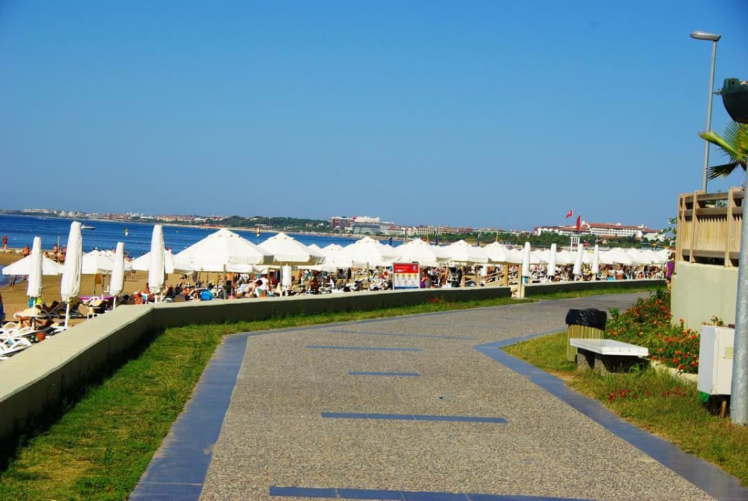 Am 25.10.2012 PALOMA Perissia