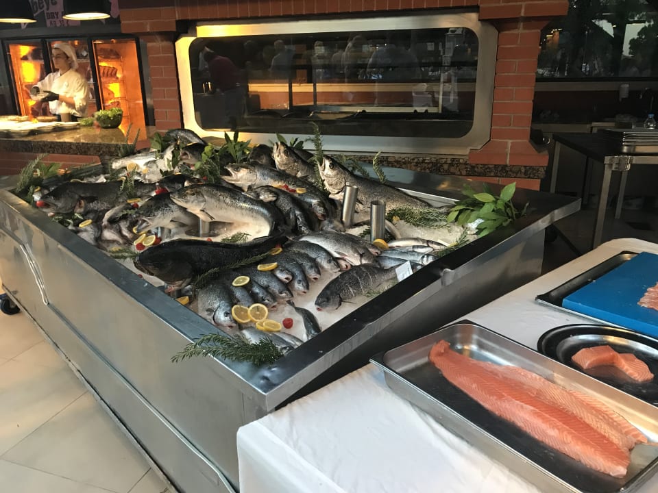 Gastro ROBINSON NOBILIS