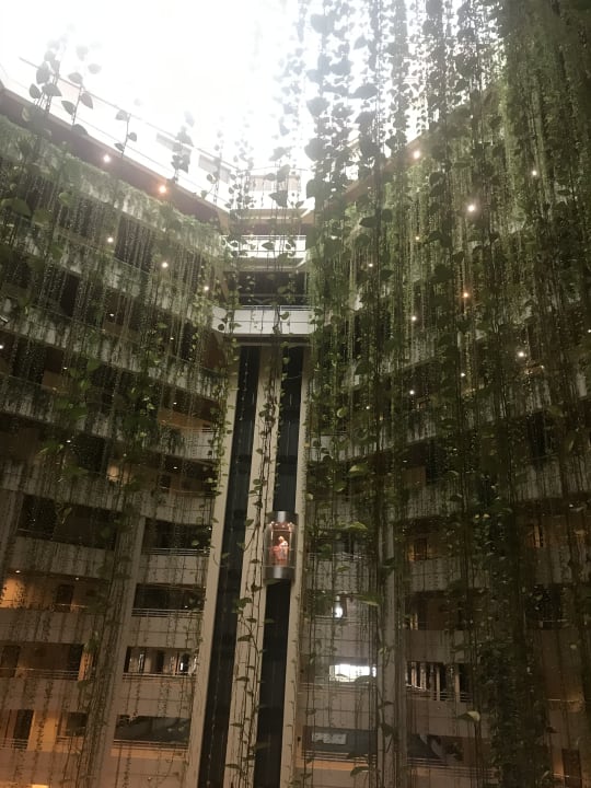 Lobby Blau varadero - Adults only