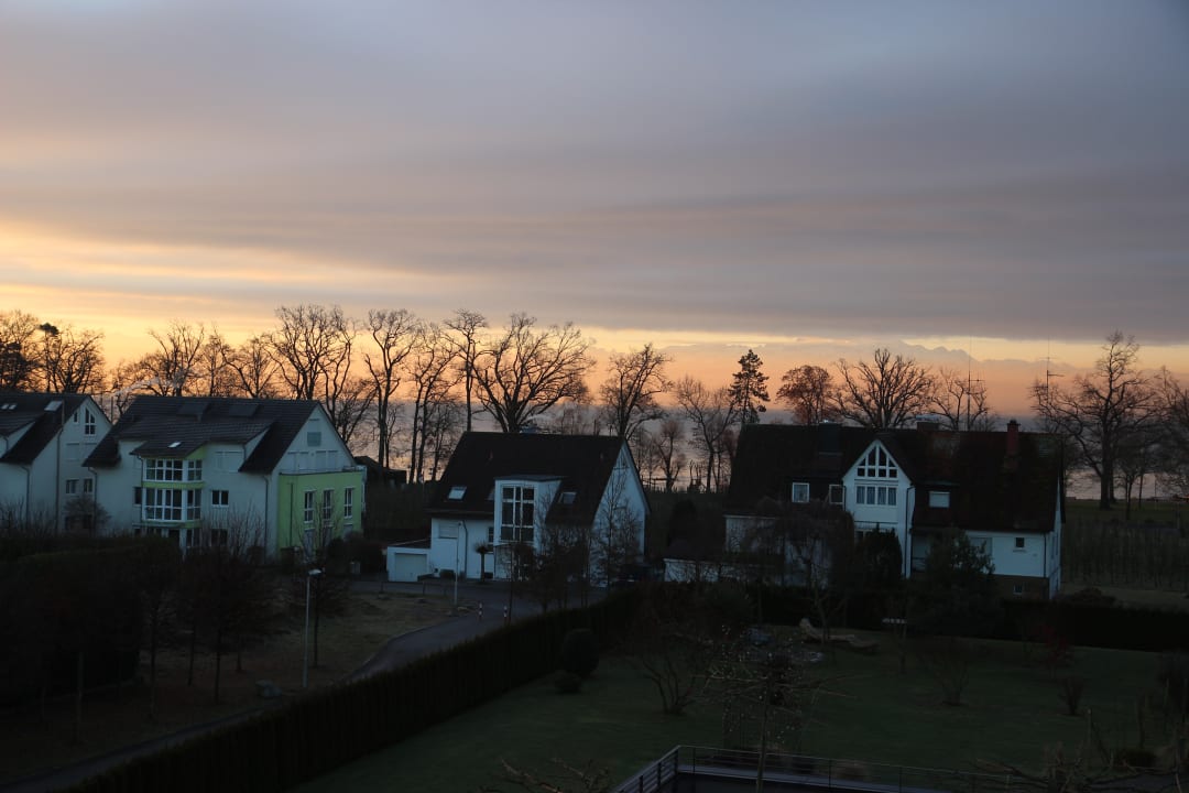 Gartenanlage Hotel Traube am See