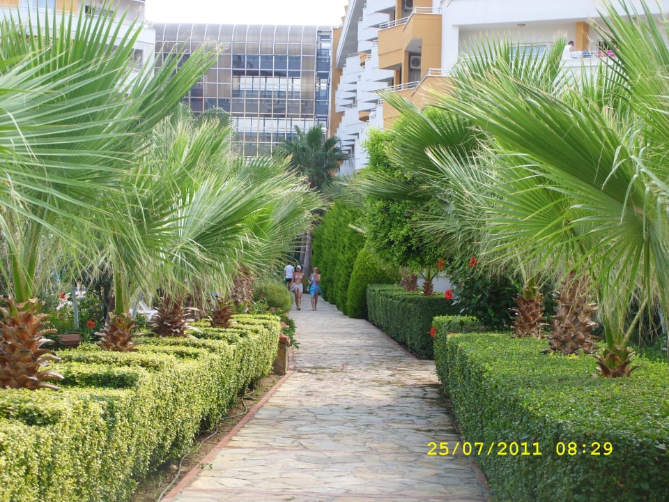 Chodnik do hotela My Home Resort